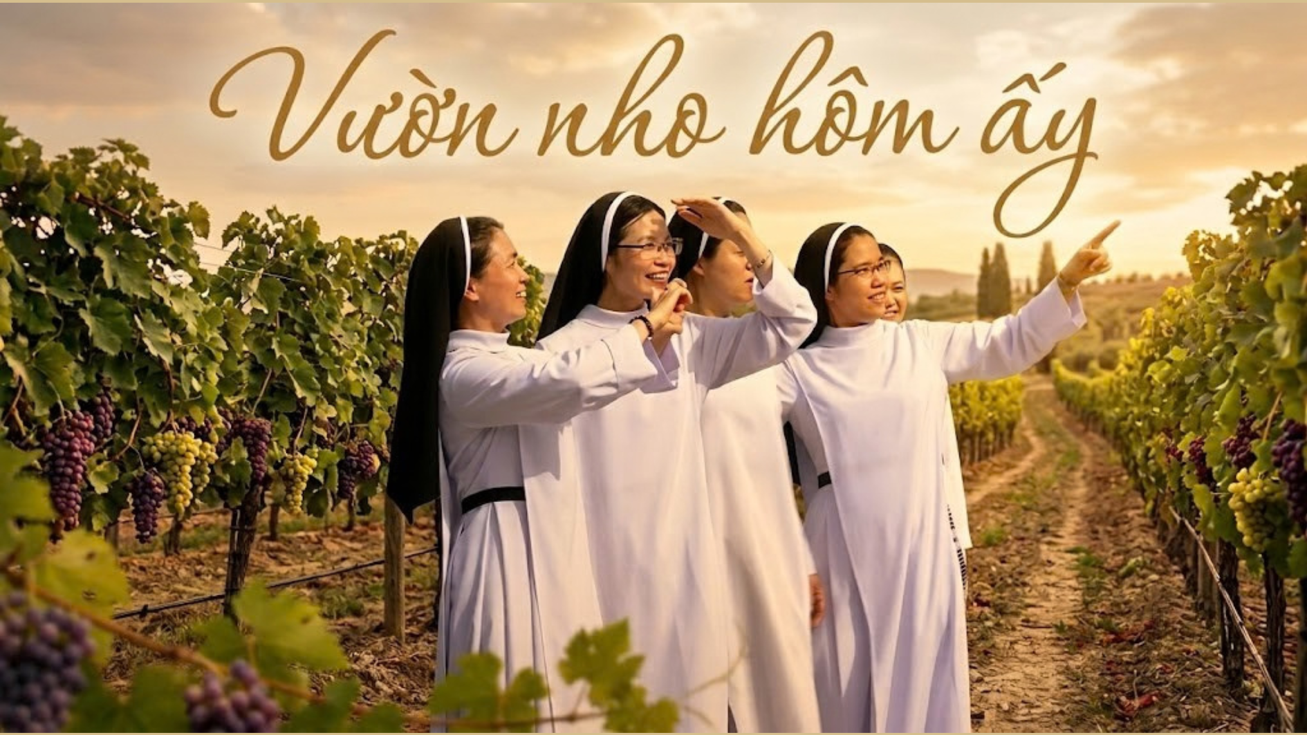 Vườn nho hôm ấy